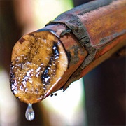 Gula Nipah / Gula Apong