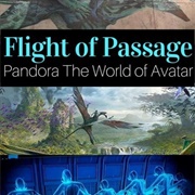 Flight of Passage - Animal Kingdom