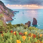 Flores, Azores