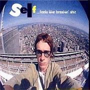 Self - Feels Like Breakin' Shit