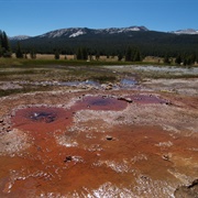 Soda Springs, Yosemite NP