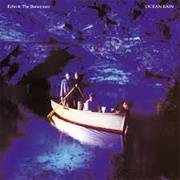 Silver - Echo & the Bunnymen