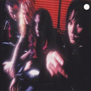 Saturday Night Cockfight - W.A.S.P.