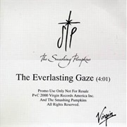 The Everlasting Gaze (1999)