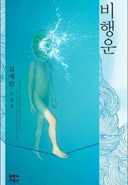 비행운 (김애란)