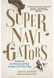 Supernavigators (David Barrie)