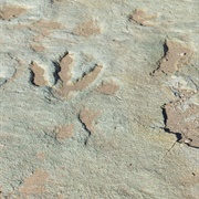 Mill Canyon Dinosaur Trail, Utah