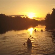 Suwannee River Wilderness State Trail