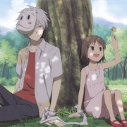 Into the Forest of the Fireflies' Light