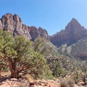The Watchman Trail, Zion National Park