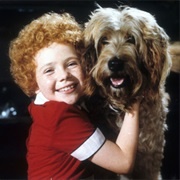 Sandy (Annie, 1982)