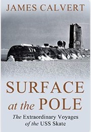 Surface at the Pole (James Calvert)