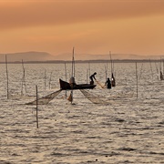 Laguna De Rocha, Uruguay