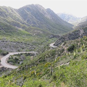 Angeles Crest Highway