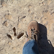 Red Gulch Dinosaur Tracksite, Wyoming