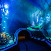 Universeum, Gothenburg