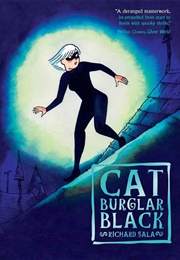Cat Burglar Black (Richard Sala)