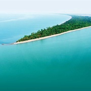 Point Pelee National Park (ON)