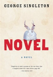 Novel (George Singleton)