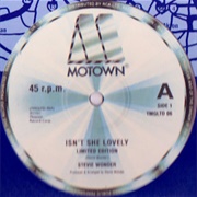 Stevie Wonder - Isn't She Lovely / Master Blaster (Jammin')