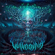 Vulvodynia- Cognizant Castigation