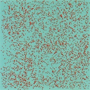 Jérôme Noetinger & Erikm - What a Wonderful World