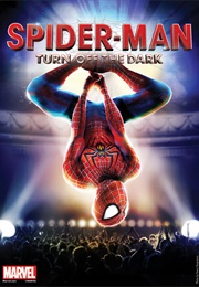 Spider-Man: Turn off the Dark