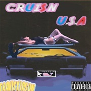 Cruis'n USA