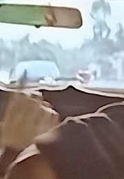 Eduardo Cruz: Cosas Que Contar (2007)