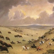 The Buffalo Hunt (Paul Kane)