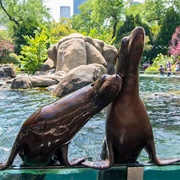 Central Park Zoo, New York, NY, USA