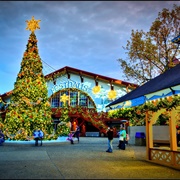 Christmas in Virginia