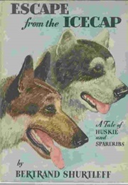 Escape From the Icecap (Bertrand Shurtleff)