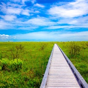 Kushiro National Park