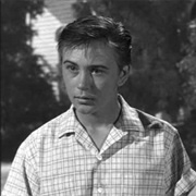 Wilby Daniels (The Shaggy Dog, 1959)