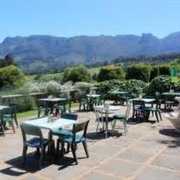 Chart Farm Cape Town