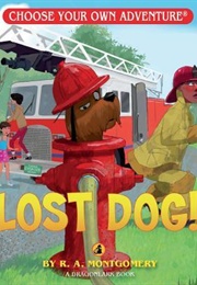 Lost Dog! (R.A. Montgomery)