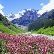Valley of Flowers National Park, India