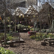 Dalston Eastern Curve Garden