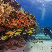 Biscayne National Park