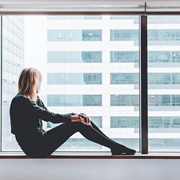 Stare Out the Window