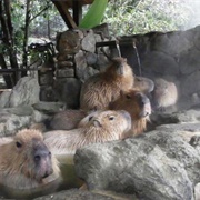 Nagasaki Biopark