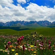 Henan Mongol Autonomous County