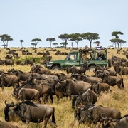 Serengeti National Park