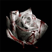Romantic Homicide ~ D4vd