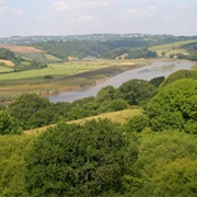 Tamar Valley