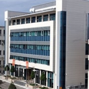 Montenegrin Government