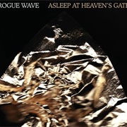 Rogue Wave - Asleep at Heaven's Gate