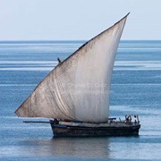 Lateen Sail