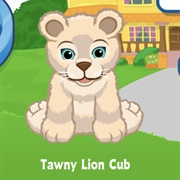 Tawny Lion Cub